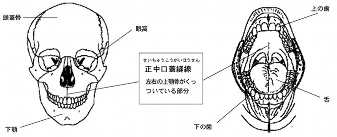拡大の仕組み