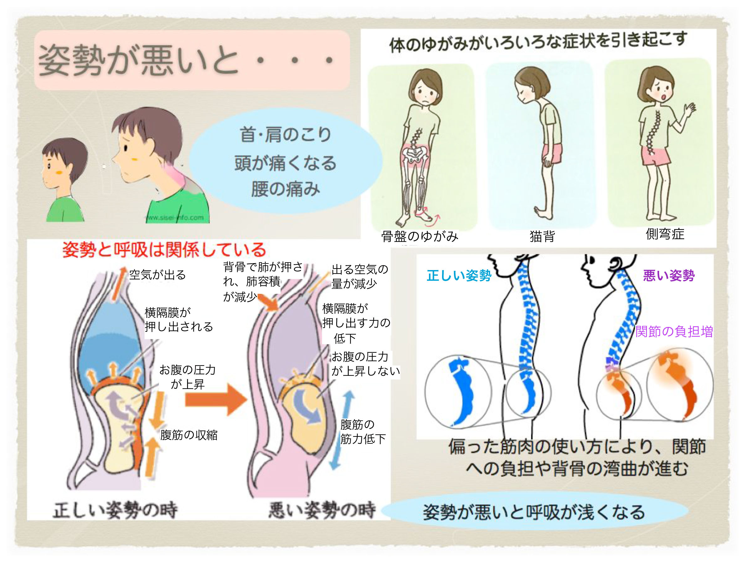 姿勢