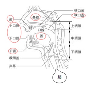 fuku60-1