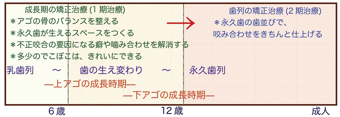 子供の矯正治療の流れ