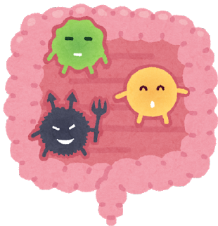 カンジダ菌